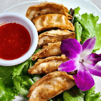 Best Gyoza in Springdale, AR